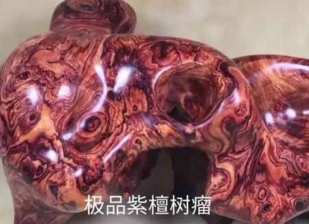 小叶紫檀树苗怎么种植(小叶紫檀带白皮料好吗)