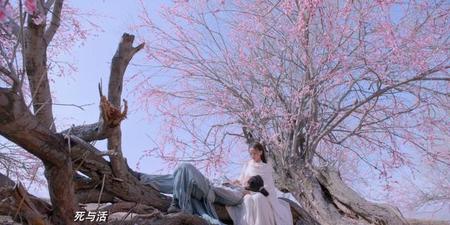 将夜第3季拍完了吗(将夜电视剧还有第三部?)