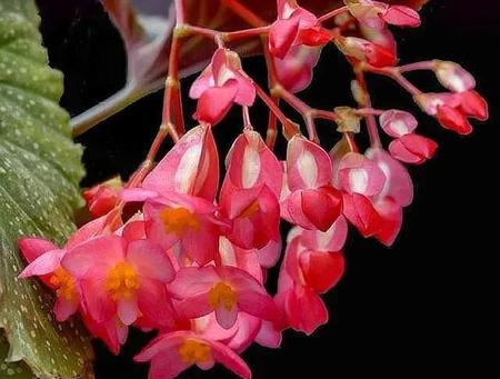 人情指什么(人情什么意思呢)