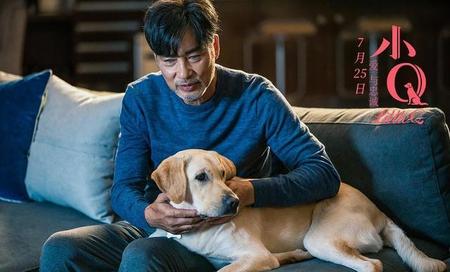 有什么好电影介绍一下