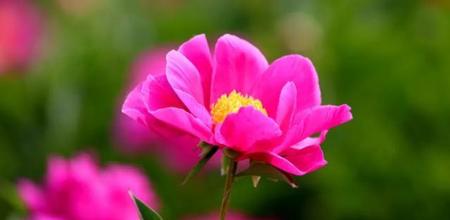 有哲理说说(引人深思的哲理句子)