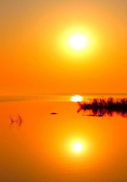 好照片的标准是什么,举例说明(纪实摄影的意义)