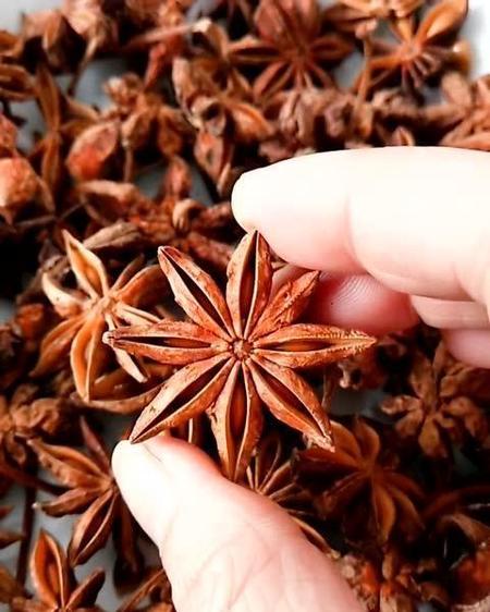 八角和大料是一种东西吗(大料是不是就是八角)