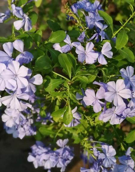 丁克女人的下场(那些丁克最后怎么样了)