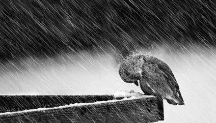 为什么触景生情是情景再现的核心