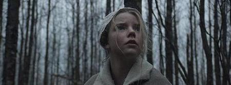 10部经典的小众电影推荐