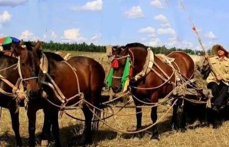 东北人说的拉帮套是什么意思