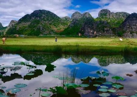 普者黑不好玩(云南省文山州丘北县普者黑风景区)