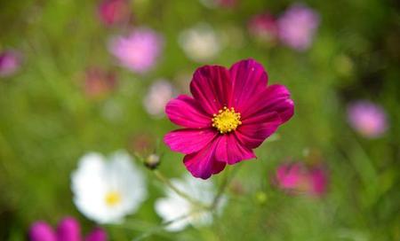 哲学的句子经典语录(励志哲学语录经典短句)