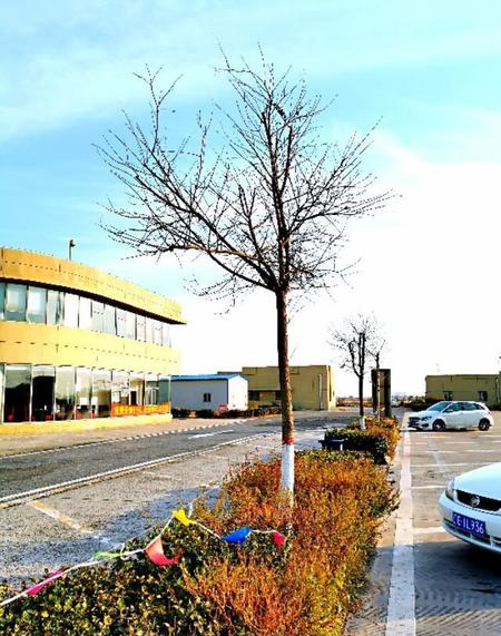 对于那些曾经伤害过我们的人(伤害过你的人不必原谅但是要放下)