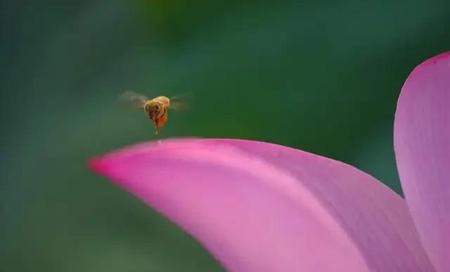 恋爱中最遗憾的事情