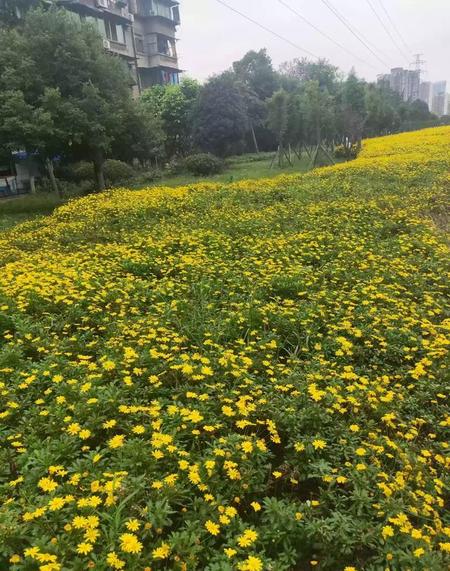 人死了会有灵魂吗科学解释(生命的死亡)