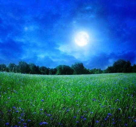 春暖秋凉是什么意思(春暖秋凉的成语意思)