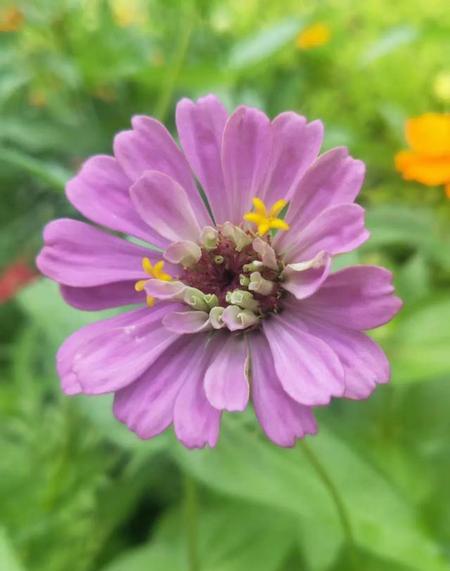 什么叫看透人生