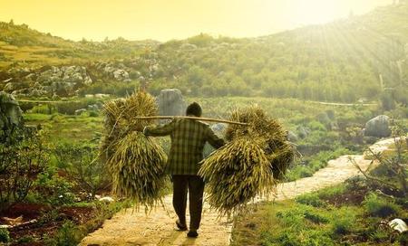 每一道疤痕都有一个故事(疤痕再次受伤)