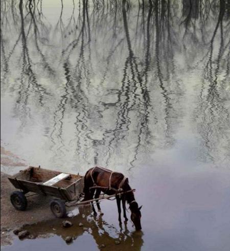 不只是眼前的苟且,还有诗和远方谁写的(生活不止眼前的苟且,还有诗和远方)