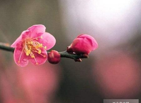 爱与恨什么意思(爱与恨是什么意思)