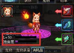 dnf宠物饿死宠物装备有效吗(dnf宠物没有饱食度宠物装备)