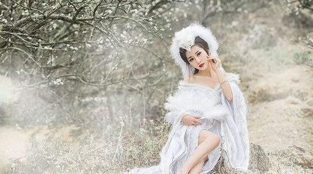 聊斋志异中的狐狸(狐狸是不是很狡猾)