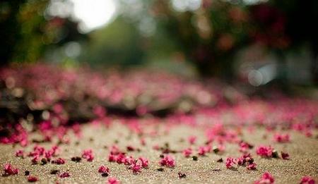 如果你忘不掉一个人