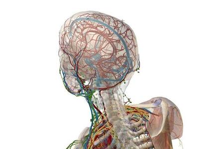 脑萎缩最后的症状(脑萎缩去世前的症状)