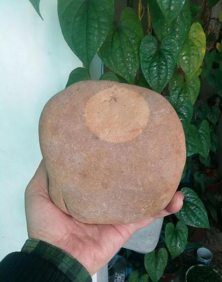 真的有亚当和夏娃吗(亚当和夏娃是真实存在的吗)