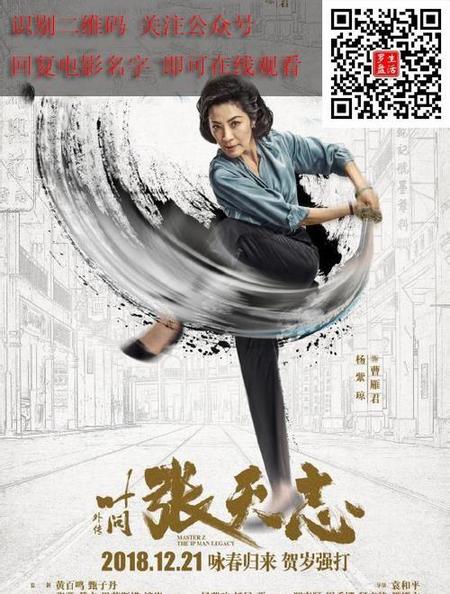 叶问外传张天志的女主角叫什么(叶问系列电影哪部最好看)