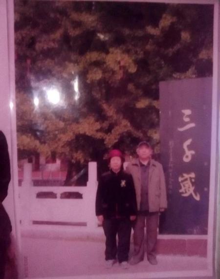 我喜欢银杏树的原因(银杏树作文题目)