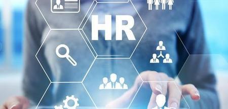 人力资源是什么行业(人力薪酬绩效主要工作)