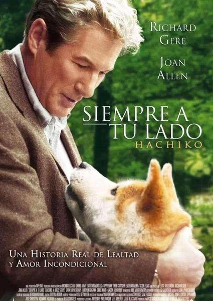 忠犬八公的故事评价(忠犬八公的故事豆瓣评分)