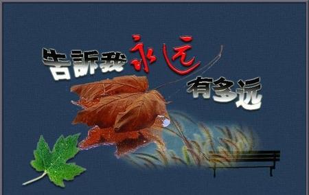 永远到底有多远是什么歌(你说永远有多远是什么歌)