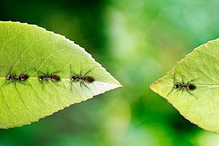 如果知道结局我们还会相爱吗(老鼠爱上猫结局)