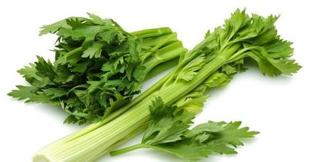 芹菜烧水喝有什么好处(芹菜煮水喝有什么作用)