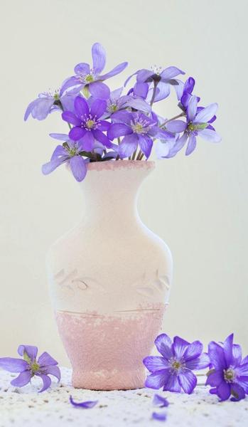 实践重要还是知识重要(实践重于知识的理解)