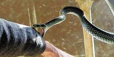 斗米养恩担米养仇下一句