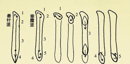 垂露竖的正确写法是什么(硬笔楷书垂露竖的写法)