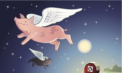 为什么2019年是金猪宝宝(2019出生的宝宝是金猪)