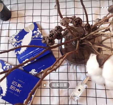 女频有名的作者(著名女频小说作家)