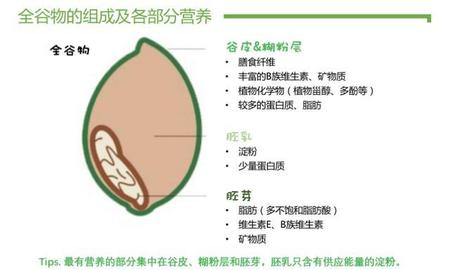 大米和糙米哪个营养价值高