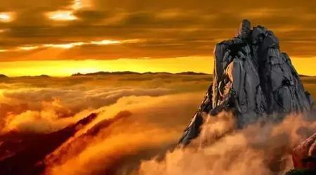 护短还有什么说法