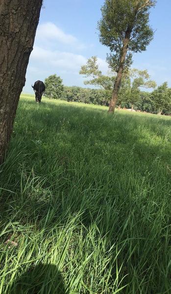 内蒙古吃饺子不沾酱油判了一年多(吃饺子不蘸酱油入狱案)
