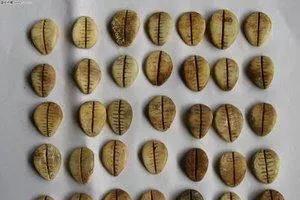 钱是什么它是怎么来的(货币是人类社会在历史发展进程中的产物)