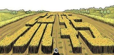 农村流转土地是什么意思(土地流转和土地承包是一个道理吗)