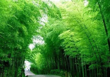 校园里的恋爱最纯真