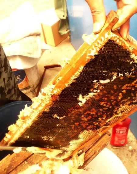 蜂蜜过期能吃不(蜂蜜会不会过期变质)