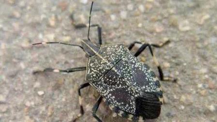 一夜成名的利弊(二十几岁成名的人)