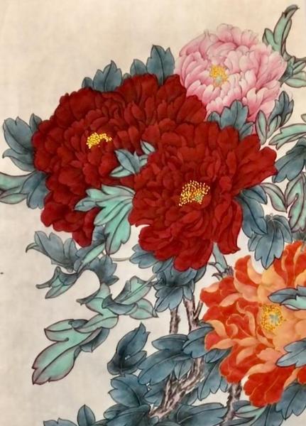 富贵花开代表什么意思(富贵花寓意和象征)