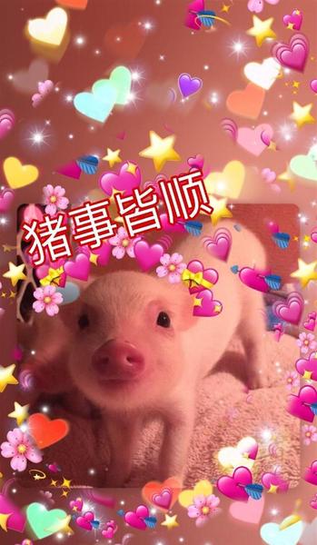 喜欢原耽的人叫什么(腐癌和原耽)