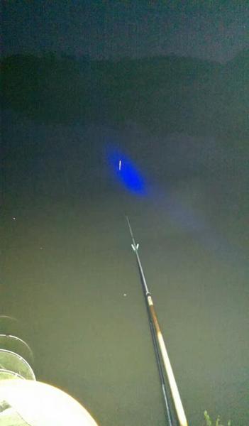 钓昂刺鱼用什么打窝最好(鱼肠能钓鱼吗)