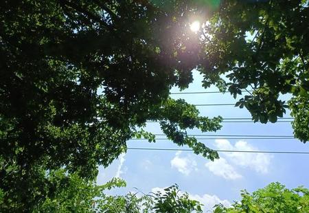 发朋友圈点赞的句子(朋友圈精辟句子)